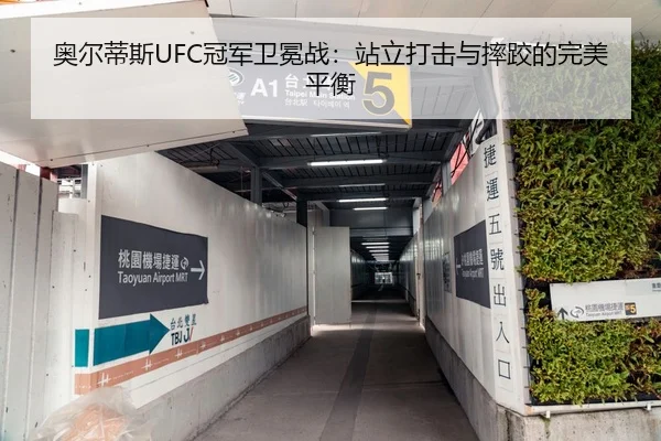 奥尔蒂斯UFC冠军卫冕战：站立打击与摔跤的完美平衡