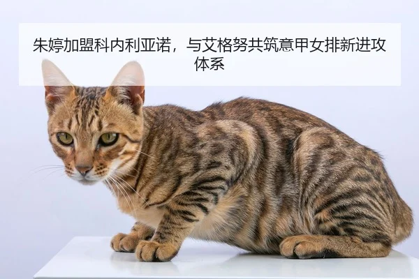zhu-ting-jia-meng-ke-nei-li-ya-nuo-yu-ai-ge-nu-gong-zhu-yi-jia-nv-pai-xin-jin-gong-ti-xi-2-310.jpg