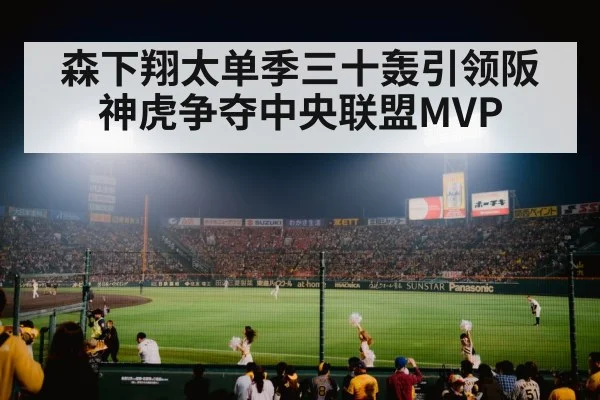 baseball stadium night game